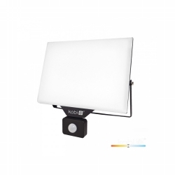 REFLEKTOR LED SA SENZOROM 100W 4000K 8500Lm IP65 CRNI Cijena