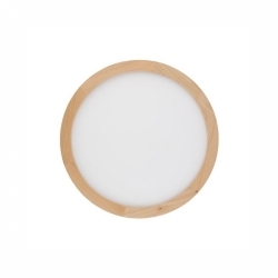 SVJETILJKA STROPNA NADGRADNA AQUA 36W 3000K/4000K/6500K 4080lm DRVO Cijena