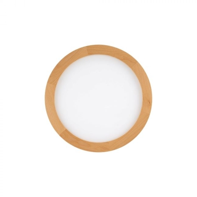 SVJETILJKA STROPNA NADGRADNA AQUA 45W 3000K/4000K/6500K 2565lm DRVO Cijena