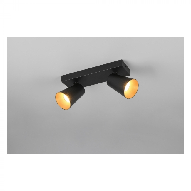 SVJETILJKA STROPNA NADGRADNA SHARP 2XGU10 MAX.10W CRNA/ZLATNA Cijena