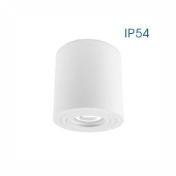 SVJETILJKA STROPNA NADGRADNA VANJSKA INEZ 1xGU10 MAX.35W IP54 BIJELA Cijena