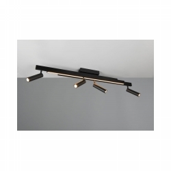 SVJETILJKA STROPNA NADGRADNA ZENO SMD 4X5,5 W I 1X12W 2700-6500K CRNO Cijena